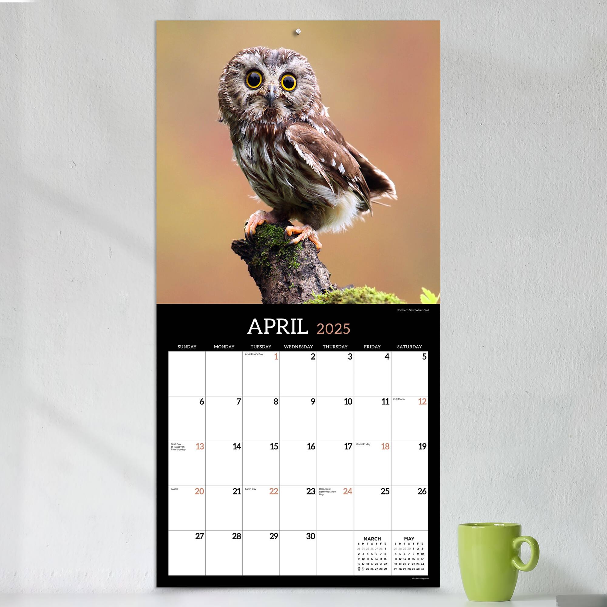 TF Publishing 2025 Owls Wall Calendar